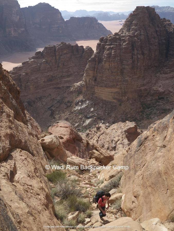 Wadi Rum Backpacker Camp エクステリア 写真